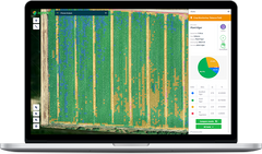 Agremo Analytics 1-Year (Annual License) (No Stiching)