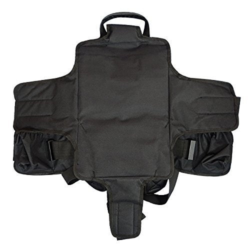 FlyPro DJI Inspire 1 / Phantom 4 Backpack Case Holder